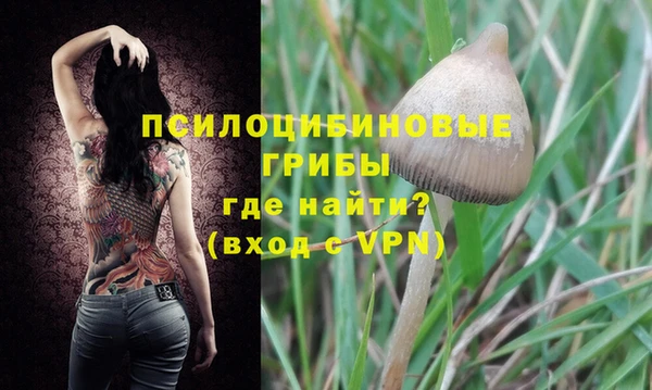 молекула духа Абаза