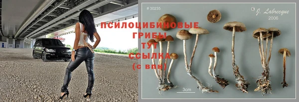 прущие грибы Абдулино
